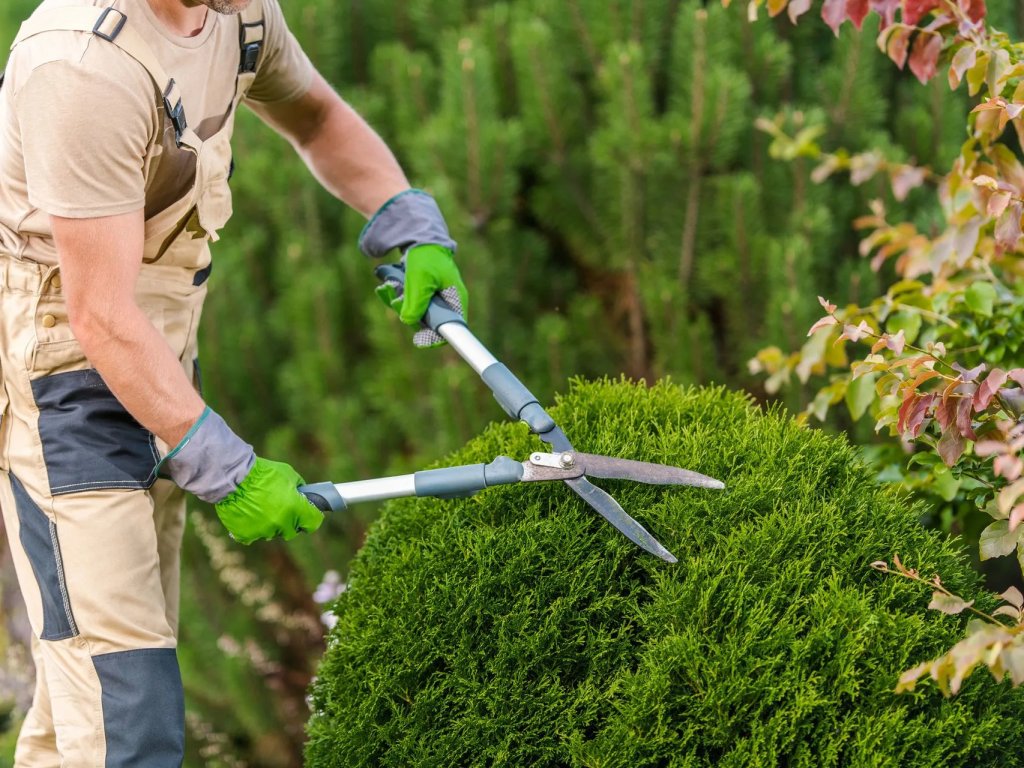 reinford-landscapes-reliable-maintenance-services