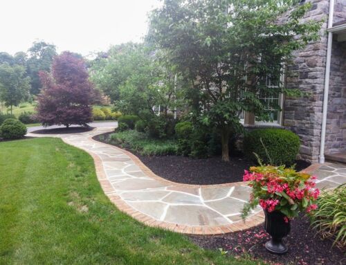 Landscaping Trends: What Homeowners Are Choosing Nowadays