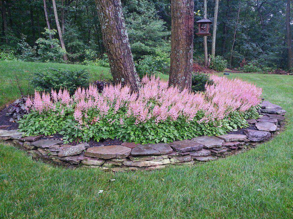 reinfordlandscapes plantings photo 2